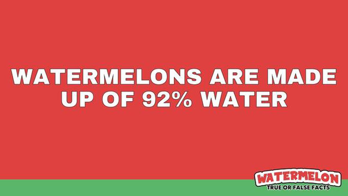 Watermelon True or False Facts image number null